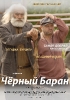 Чёрный баран_1