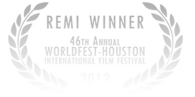 remi wf-2013-blk small